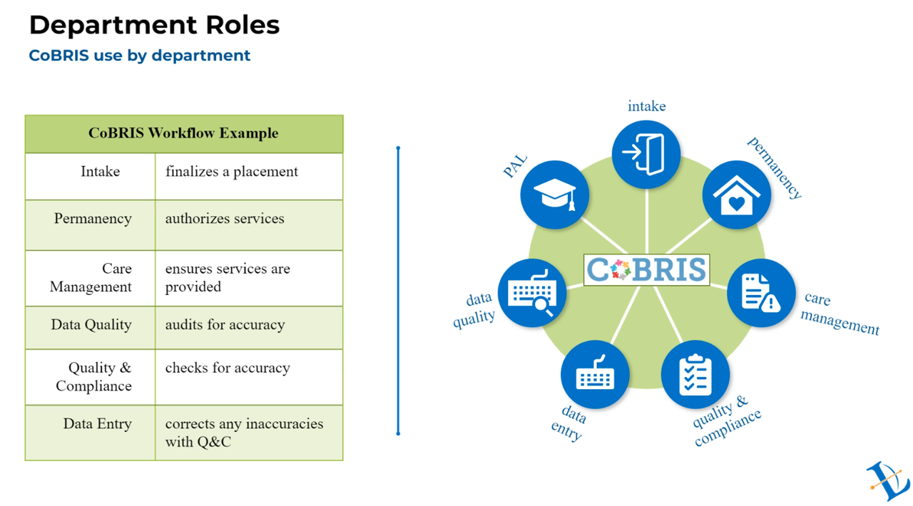 CoBRIS Overview Video